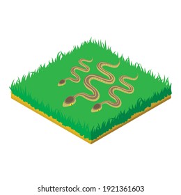 Gray snake icon. Isometric illustration of gray snake vector icon for web