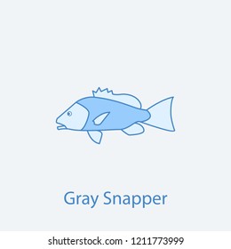 gray snapper 2 colored line icon. Simple light and dark blue element illustration. gray snapper concept outline symbol design from fish set