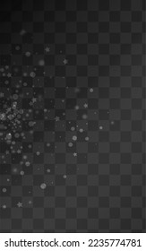 Gray Snow Vector Transparent Background. magic Snowfall Banner. White New Backdrop. Light Snowflake Pattern.