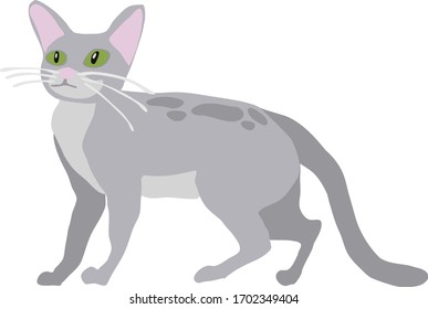 Gray spotted cat with green eyes. Cat vector. Cartoon cute cat