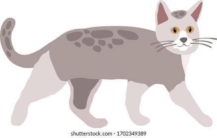 Gray spotted cat with yellow eyes. Cat vector. Cartoon cute cat