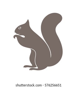 Gray squirrel. Wild animal on white background