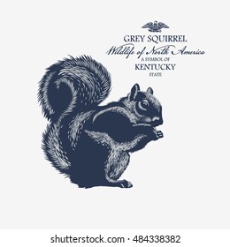 Gray Squirrel, Wildlife of America, illustration, vector, blue color