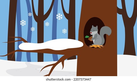 gray squirrel in the winter in a hollow