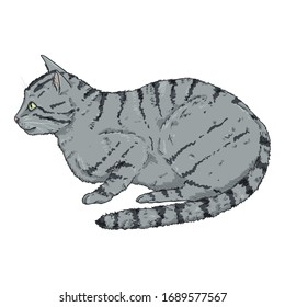 Gray Striped Cat. Vector Cartoon Illustration