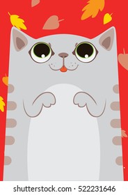 gray striped cute cat under falling leaves on red background