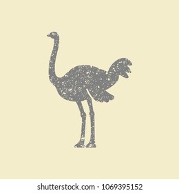 The gray stylized silhouette of an ostrich in grunge style