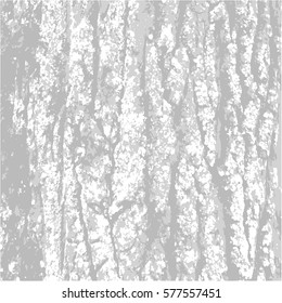 gray,  texture Bark. Nature black-white stylish background. Vector illustration. three colors