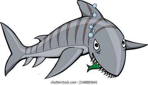 A gray tiger shark with black stripes.