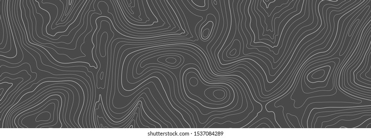 Gray topographic line contour map background, geographic grid map - Shutterstock ID 1537084289