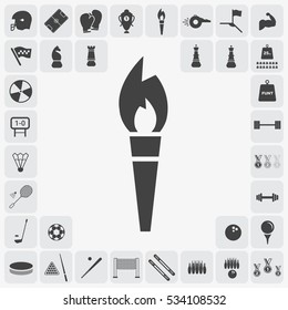 Gray torch icon illustration isolated vector sign symbol
