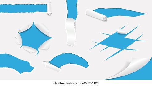 Gray torn paper collection. Vector illustration