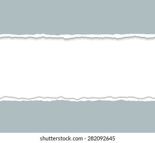 Gray Torn paper pieces. Paper with ripped edges. Design elements. Vector EPS10 illustration. 