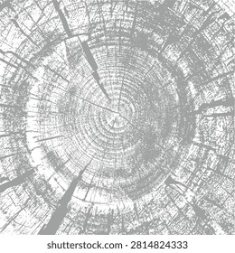 Gray tree rings end grain print illustration. Natural wood log cross section with annual growth rings, plain botanical leaf sketch background, rustic organic texture, engraved nature design, eco.