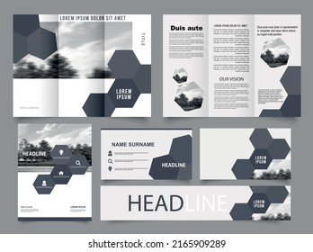 Gray Tri fold brochure with Hexagon. Collection of folded brochures, annual report, business card. For printing, A4 magazine cover