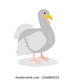 Gray turkey stands on its paws