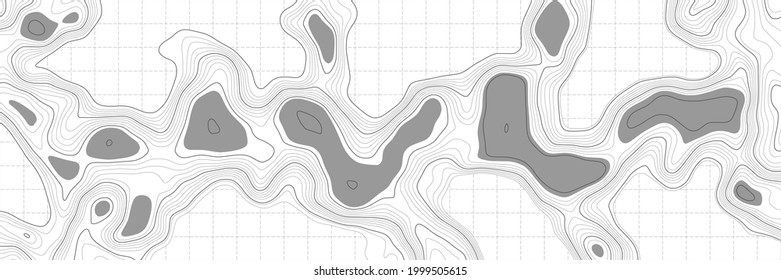 Gray vector background, banner. Imitation of a geographical map, contour lines.