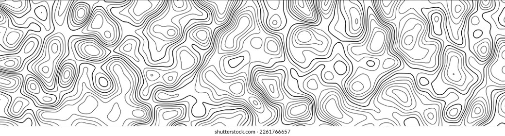 Gray vector background, banner. Imitation of a geographical map, contour lines.