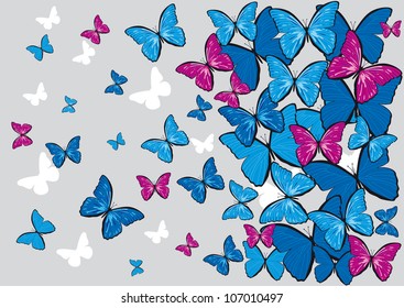gray vector background with colorful butterflies for design