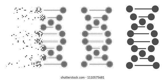 Gray vector DNA icon in dissolved, dotted halftone and undamaged whole variants. Disintegration effect involves rectangular particles. Fragments are grouped into disappearing DNA pictogram.