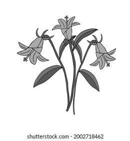 A Gray Vector illustration of bouquet bell flowers with leaves isolated on a white background