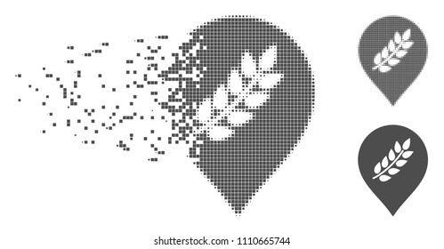 Gray vector rice plantation marker icon in dissolved, dotted halftone and undamaged solid variants. Disappearing effect uses rectangular dots.