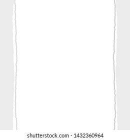 Gray Vector Ripped or Torn Paper Divider Background