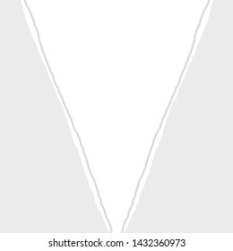 Gray Vector Ripped or Torn Paper Divider Background