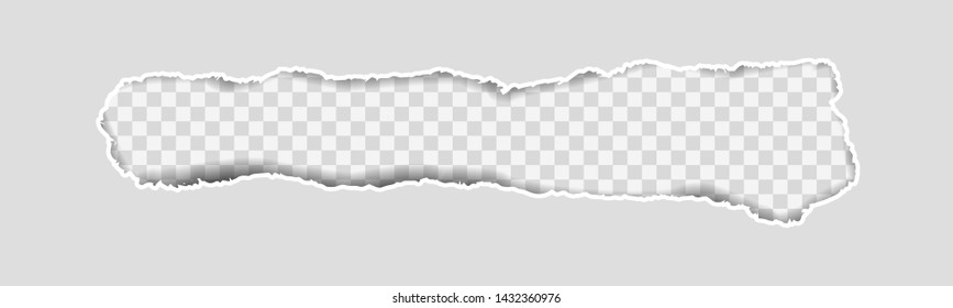 Gray Vector Ripped or Torn Paper Divider Background