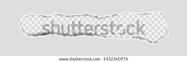 Gray\
Vector Ripped or Torn Paper Divider\
Background