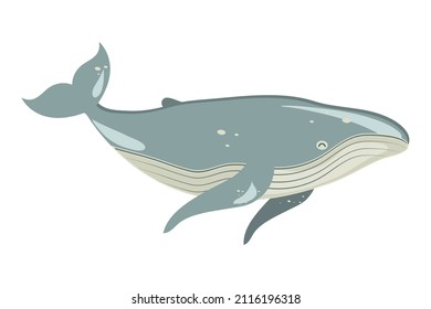 1,320 Gray whale swimming Stock Illustrations, Images & Vectors ...