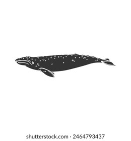 Gray Whale Icon Silhouette Illustration. Animals Vector Graphic Pictogram Symbol Clip Art. Doodle Sketch Black Sign.