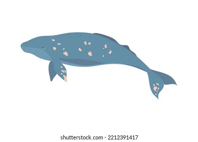 gray whale isolated icon flat