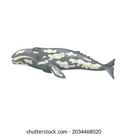 Gray whale isolated on white background. Cartoon character of ocean for children. Simple print with marine mammal. Design for any purposes. Vector illustration.