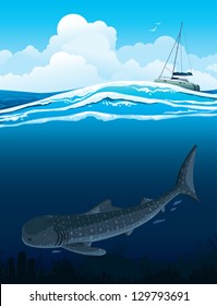 Gray whale shark swims under white boat on a blue sea background.
