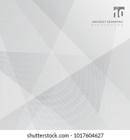 Gray and white abstract background geometry shine and layer element with halftone dots, Vector illustration