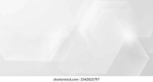 gray and white abstract background modern vector illustration