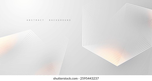 gray and white abstract background modern vector illustration