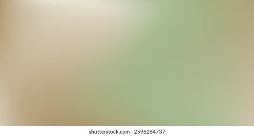 gray and white abstract background modern vector illustration