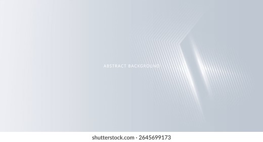 gray and white abstract background modern vector illustration