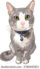 Gray and white cat sitting, wearing a blue collar with a silver ring and blue bell, facing forward against a white background.