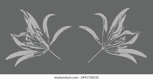 Gray and white flower print stamp of botanical illustration. Plain floral sketched art background.
