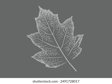 Gray and white leaf print stamp of botanical leaves and stem. Plain leaf sketched art background.