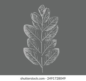 Estampado de hojas en gris y blanco de hojas botánicas y tallo. Fondo de arte dibujado de hoja lisa.