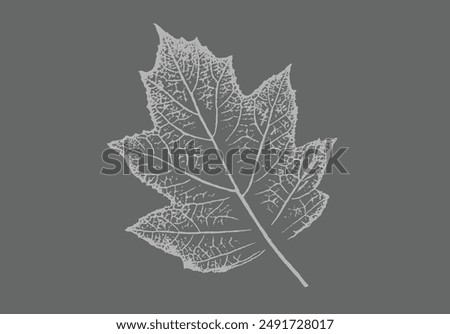 Gray and white leaf print stamp of botanical leaves and stem. Plain leaf sketched art background.