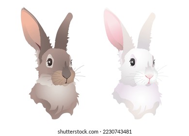 Conejo gris y blanco, símbolo de 2023. Conjunto de ilustraciones vectoriales aisladas