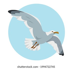 Gray and white seagull in sky. Flying gull. Sea bird cartoon icon vector illustration.
