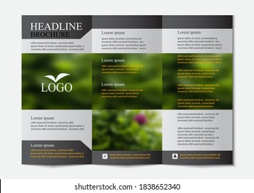 gray white square geometric vector business trifold Leaflet Brochure Flyer template flat design,modern design