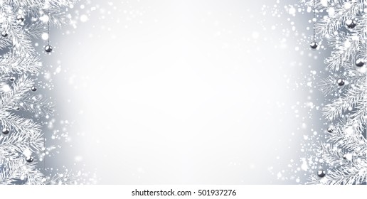 Gray winter background with fir branches. Vector illustration.