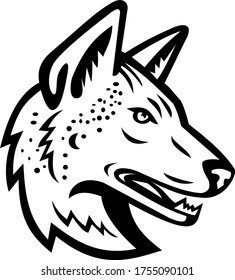 Gray Wolf or Arabian Wolf Head Mascot Black and White